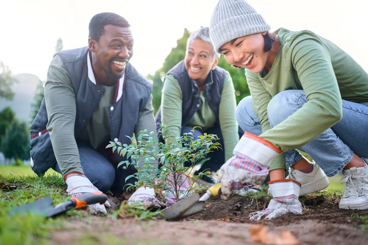Climate initiatives Volunteers planting trees